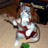 Avatar de MusicFan91
