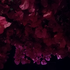 Avatar for Dado7
