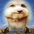 Avatar for Rick_music1104