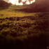 Avatar for sawtable