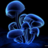 Avatar for Xenefungus