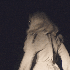 Avatar de piggycreepy