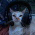 Avatar for Rub06