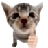 Avatar for shreylol