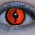 Avatar for macabrianigth