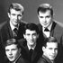 Avatar for Gary Lewis & The Playboys