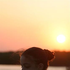 Avatar de pasofinogirl
