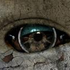 Avatar di wedz1