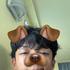 Avatar for BriDelReyy