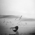 Avatar di cleanwhitelove