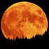 Avatar for Moonwalkers