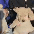Аватар для doggirlbrainrot