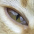 Avatar for benne_t