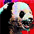 Avatar for awesam