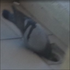 Avatar for pentacik
