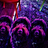 Avatar for Marcusss__
