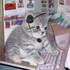 Avatar di fables_unknown