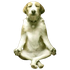 Avatar for xenoxxxx