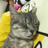 Avatar för Lion115e