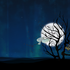Avatar for Iamtheskynow