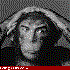 Avatar di num1monkeybutt