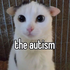 Avatar for hhEL1