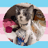 Avatar de lawlkitty
