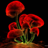 Avatar for vampsp1
