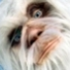 Avatar for eschava