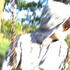 Avatar for ryDCMA
