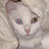 Avatar für Lonne74