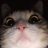 Avatar for pedrogodois