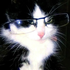 Avatar for pink_cake_popd