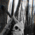Avatar for Antijack09