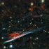 Avatar for greatwhite87