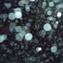 Avatar for Elowine