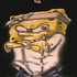 Avatar for SeregaGusev