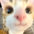 Avatar for qiyanaaaa