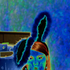 Avatar for miaush