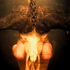 Avatar for Shesmovedon_