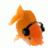 Avatar for keloooo