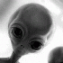 Avatar für solik_1970