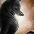 Avatar for watchmerot-tv