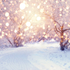 Avatar for snowlilacs