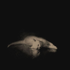 Avatar for apxxle