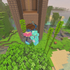Avatar for NovisMusica