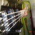 Avatar for bassplayinroach