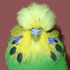 BaBo3ntje için avatar