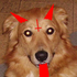 Avatar di Maxsertycon