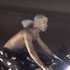 Аватар для s_tarless